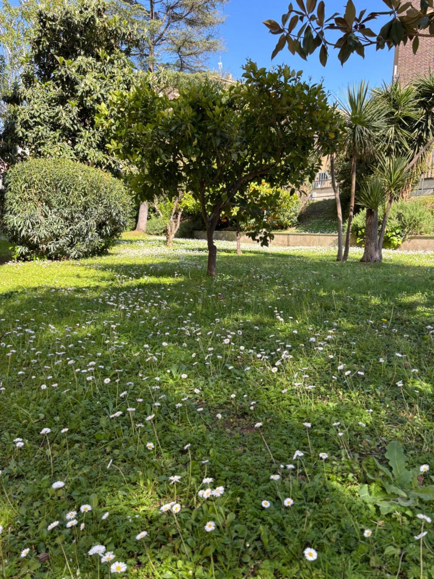 Grelly'S House - Holiday In Rome - 50 Meters From The Metro Dış mekan fotoğraf