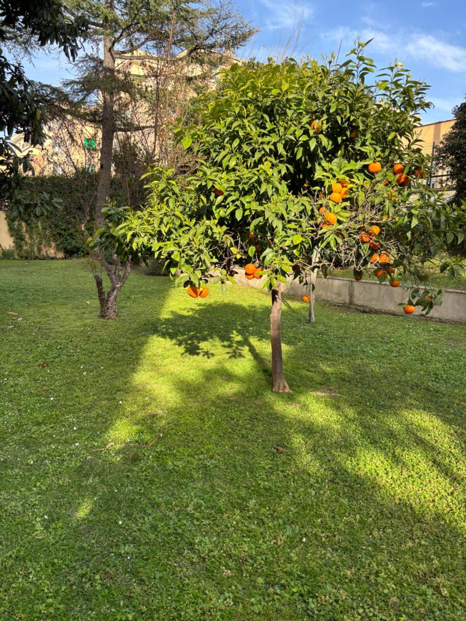 Grelly'S House - Holiday In Rome - 50 Meters From The Metro Dış mekan fotoğraf